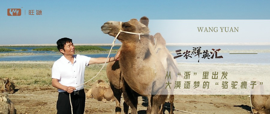 央視聚焦丨CCTV17《三農(nóng)群英匯》講述陳鋼糧董事長的感人故事！